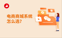 数字化平台规划与开发